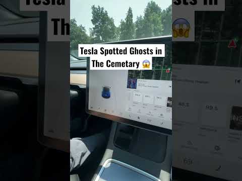 Tesla Spotted Ghosts In The Cemetery #shorts #tesla #elonmusk #teslatips 😱