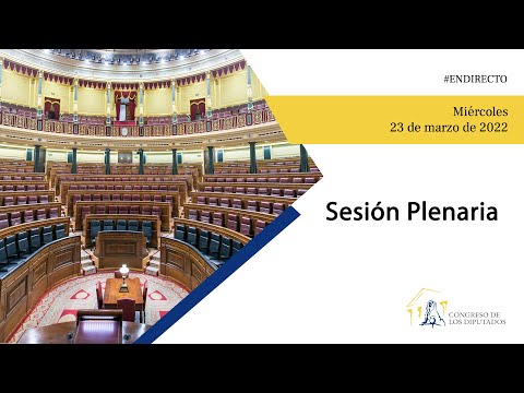 Sesión Plenaria (23/03/2022)