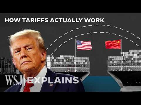 Why Economists Hate Trump&#039;s Tariff Plan | WSJ